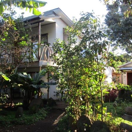 Hostal Marari 앙가로아 외부 사진