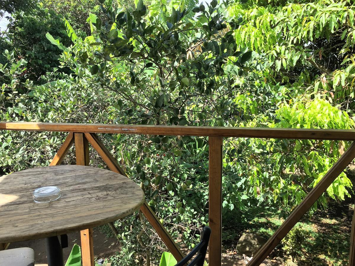 Hostal Marari 앙가로아 외부 사진